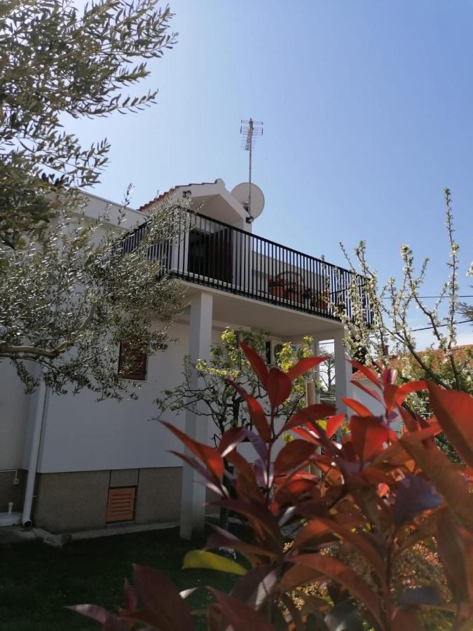 Apartment Magnolia Petrčane Dış mekan fotoğraf