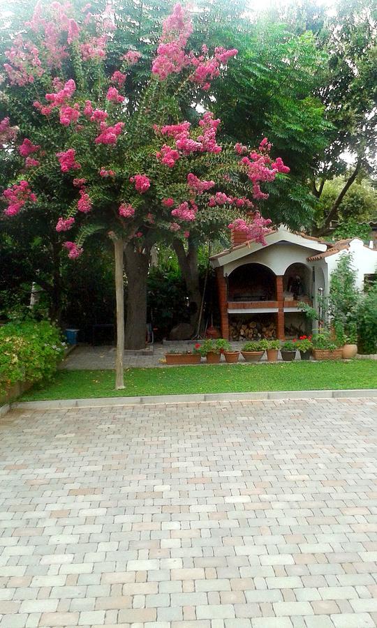 Apartment Magnolia Petrčane Dış mekan fotoğraf